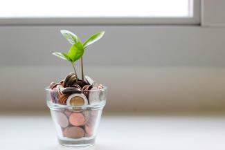 coins in a cup with growing plant